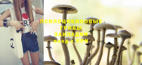 PSILOCYBIN Куйбышев