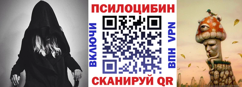 Галлюциногенные грибы Cubensis  Суджа 