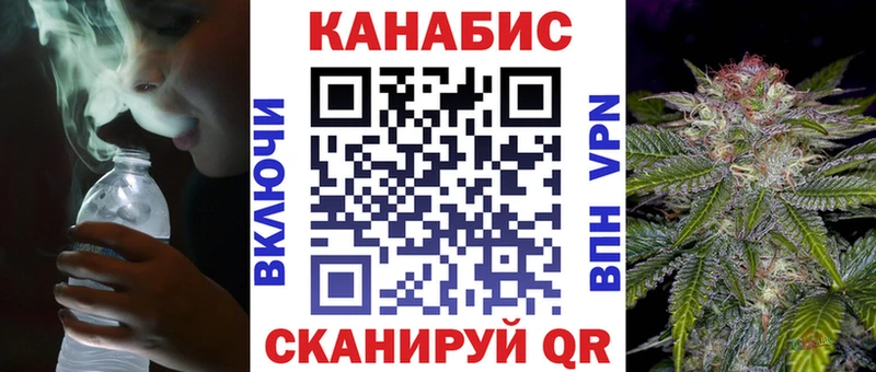 Шишки марихуана OG Kush  Суджа 